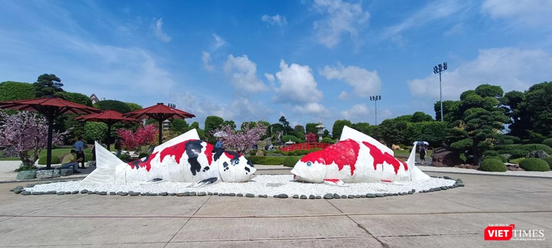 Công viên cá Koi Rin Rin Park - công viên cá Koi có quy mô lớn nhất Việt Nam