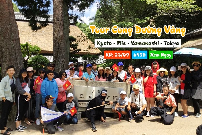 Du khách Việt Nam có thể lựa chọn điểm đến và doanh nghiệp cung cấp dịch vụ chỉ qua vài lần click chuột