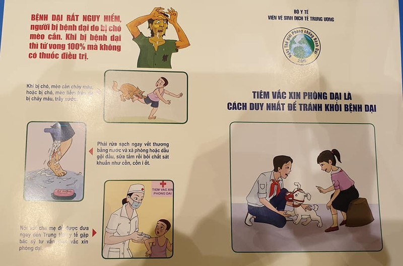 Tờ rơi truyền thông về các cách xử trí khi bị chó, mèo cắn