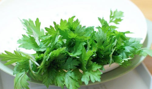 6 lợi ích tuyệt vời của cây ngải cứu quen thuộc