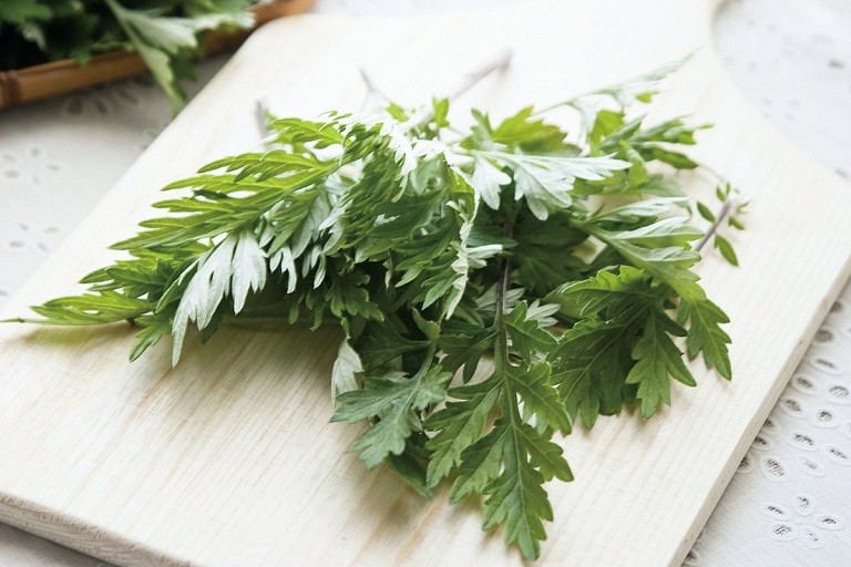 6 lợi ích tuyệt vời của cây ngải cứu 6 lợi ích tuyệt vời của cây ngải cứu