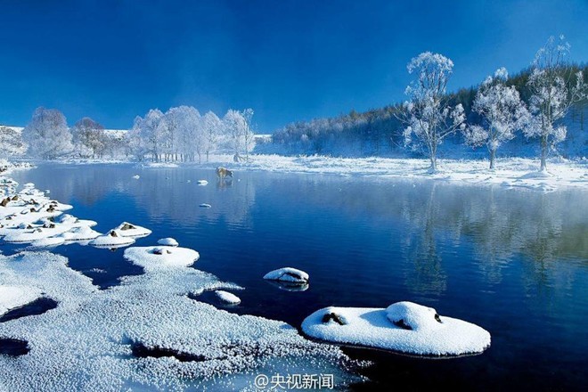 Vào mùa đông, nhiệt độ ở dãy Đại Hưng An (tỉnh Hắc Long Giang) có thể xuống tới -40 độ C. Ảnh:CNTV. Vào mùa đông, nhiệt độ ở dãy Đại Hưng An (tỉnh Hắc Long Giang) có thể xuống tới -40 độ C. Ảnh:CNTV.