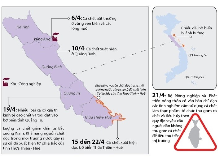 Nhìn lại 21 ngày vụ cá chết hàng loạt ở biển miền Trung ảnh 1