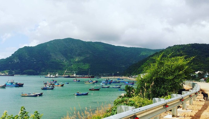 Mê mẩn 5 vịnh biển miền Trung còn rất hoang sơ ảnh 3 Mê mẩn 5 vịnh biển miền Trung còn rất hoang sơ ảnh 3