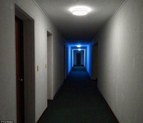 Video: Đột nhập “nhà tù” 6 sao sang trọng bậc nhất Triều Tiên  ảnh 1