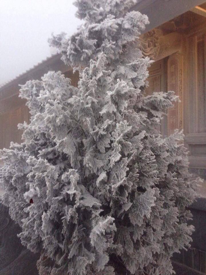 Fansipan huyền ảo băng tuyết trong nắng sớm khiến dân mạng sôi sục ảnh 1