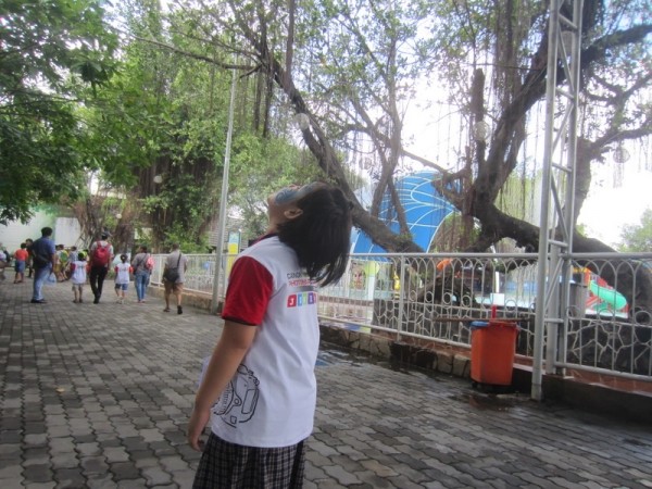 10 bức ảnh xuất thần của các “tay máy nhí” trong cuộc đua sáng tác nhanh ảnh 12