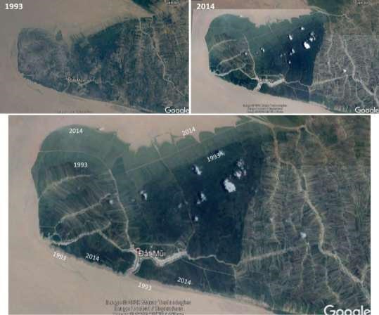 Diễn biến của Vườn quốc gia Mũi Cà Mau 1993 - 2014 Diễn biến của Vườn quốc gia Mũi Cà Mau 1993 - 2014