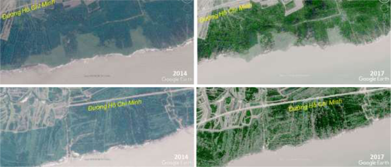 Hai địa điểm minh họa. Khoảng cách tới đường Hồ Chí Minh mỏng đi và độ dày của rừng ngập mặn thưa đi từ năm 2014 đến 2017 dưới tác động của con người và của biển Hai địa điểm minh họa. Khoảng cách tới đường Hồ Chí Minh mỏng đi và độ dày của rừng ngập mặn thưa đi từ năm 2014 đến 2017 dưới tác động của con người và của biển