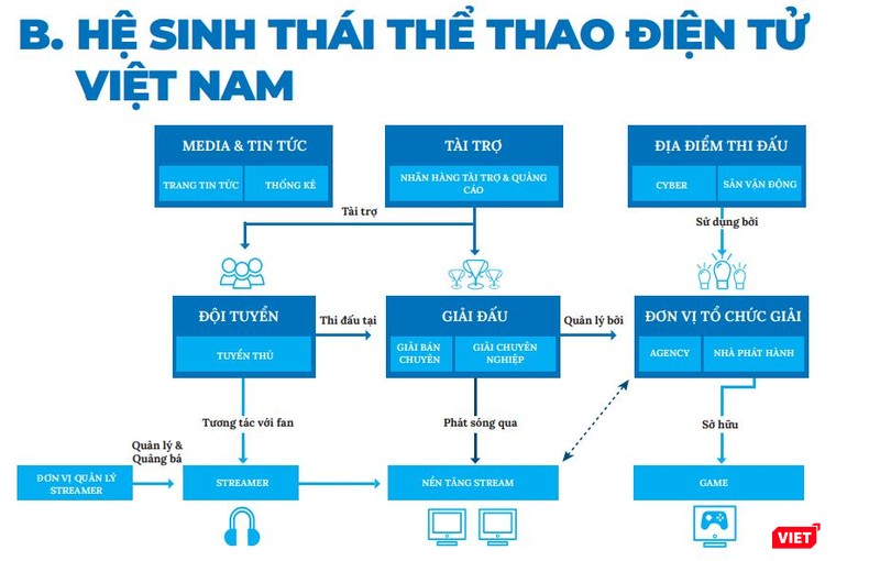 Hệ sinh thái thể thao điện tử tại Việt Nam (theo Sách trắng thể thao điện tử Việt Nam 2021).