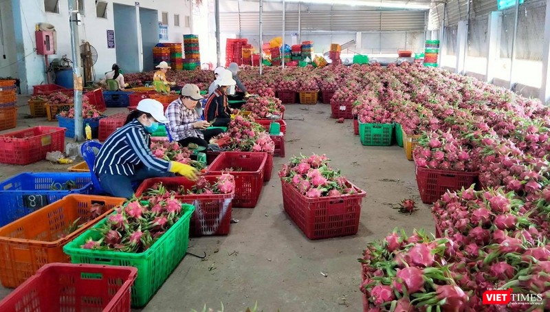 Những sản phẩm mang chỉ dẫn địa lý ở Nhật Bản thường có giá bán cao hơn thông thường và được người dân nơi đây ưa chuộng.