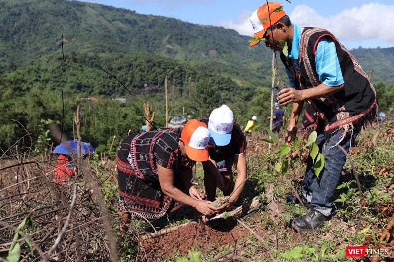 Tính tới ngày 20/11/2022, VARS đã nhận được 1.924 lượt đóng góp và trồng được 184.270 cây (tương đương 165,86 ha rừng). Tính tới ngày 20/11/2022, VARS đã nhận được 1.924 lượt đóng góp và trồng được 184.270 cây (tương đương 165,86 ha rừng).