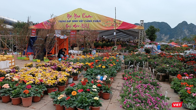 Hội hoa Xuân thu hút hơn 200 gian hàng, hàng trăm loại hoa, cây cảnh từ khắp mọi miền hội tụ về.