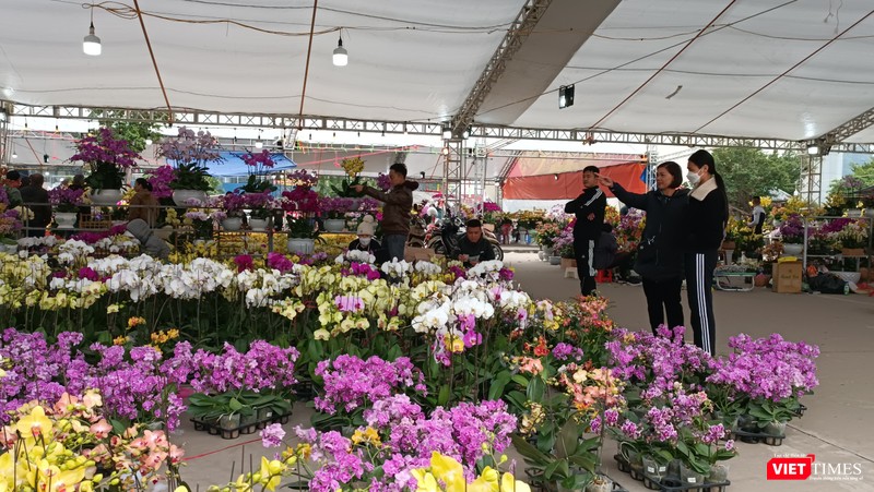 Khách chủ yếu tìm mua các bình nhỏ, hợp túi tiền