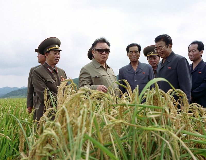 Nhà Lãnh đạo Kim Jong Il chỉ đạo tại chỗ ngành nông nghiệp (tháng 9 năm 2004)