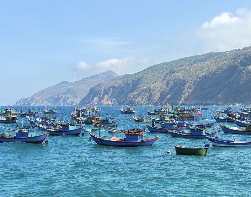 Hình 5 - Quy Nhơn.jpg