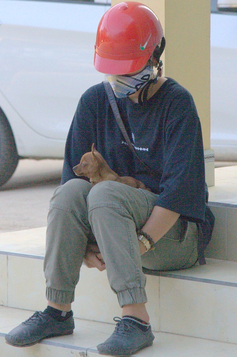 Người đàn bà và con chó nhỏ đang chờ gã phóng viên chụp ảnh. Ảnh Huỳnh Phan.