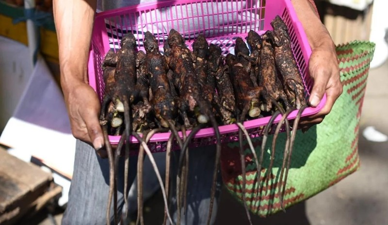 Thịt chuột được người dân bản địa coi là món khoái khẩu trong các dịp đặc biệt (Ảnh: YAKI)