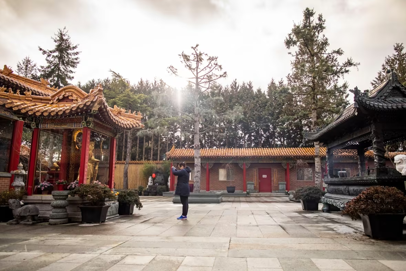 Không khí đón Tết rộn ràng trên khắp thế giới ảnh 6