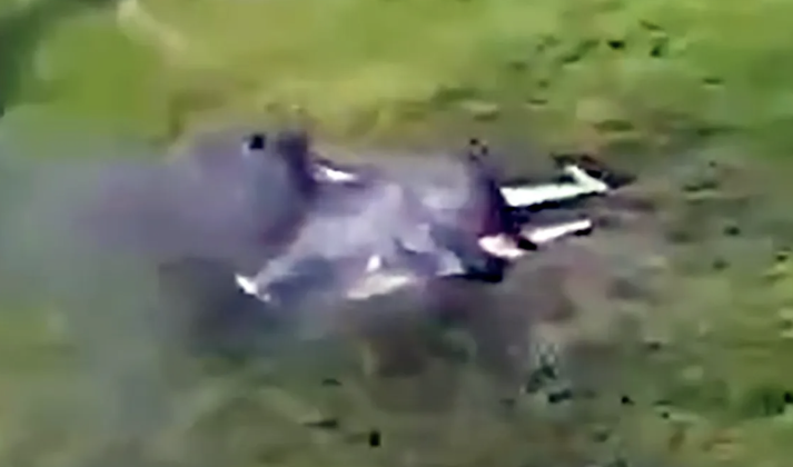 F-16 của Ukraine bắn hạ Su-35 Super Flanker của Nga gần Kursk Sự thực hay tin đồn 2.png