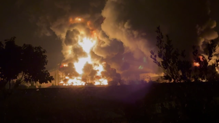 Ảnh cắt từ clip.