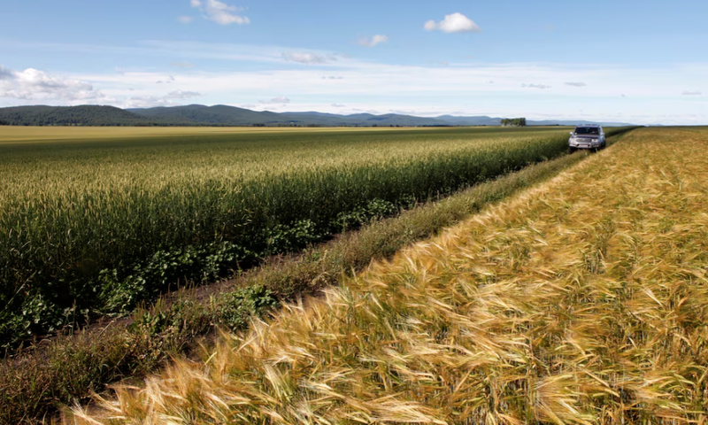 Nga hồi sinh giao dịch hàng đổi hàng Lúa mì đổi ô tô, hạt lanh đổi vật liệu xây dựng 2.png