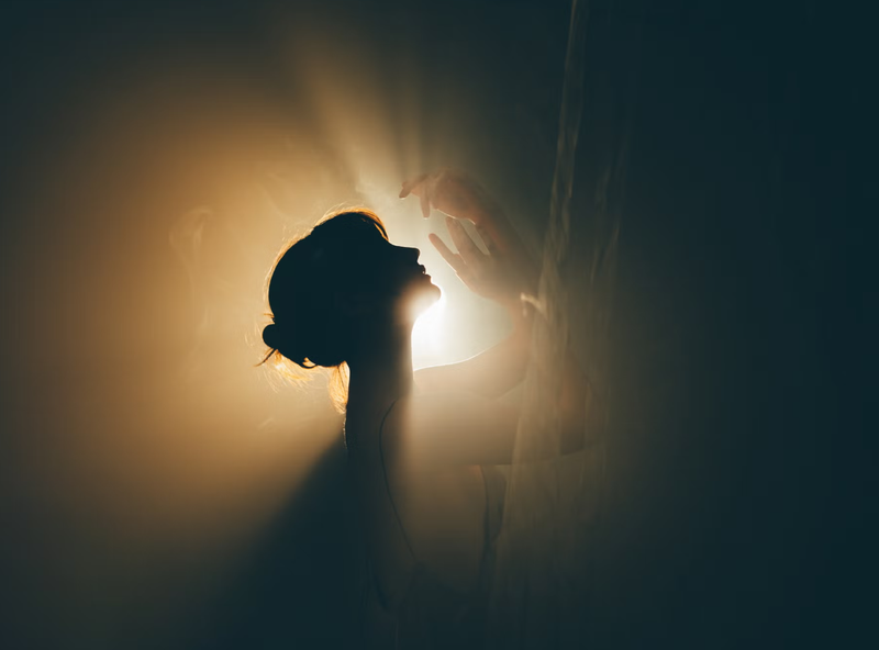 Các nhà khoa học tin rằng con người có thể kéo dài tuổi thọ nhờ vào nghiên cứu một loài động vật có vú sống ở Bắc Cực. Ảnh: Getty.