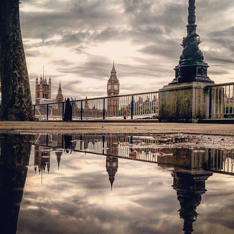 Sững sờ với những tấm ảnh chụp... vũng nước ảnh 12