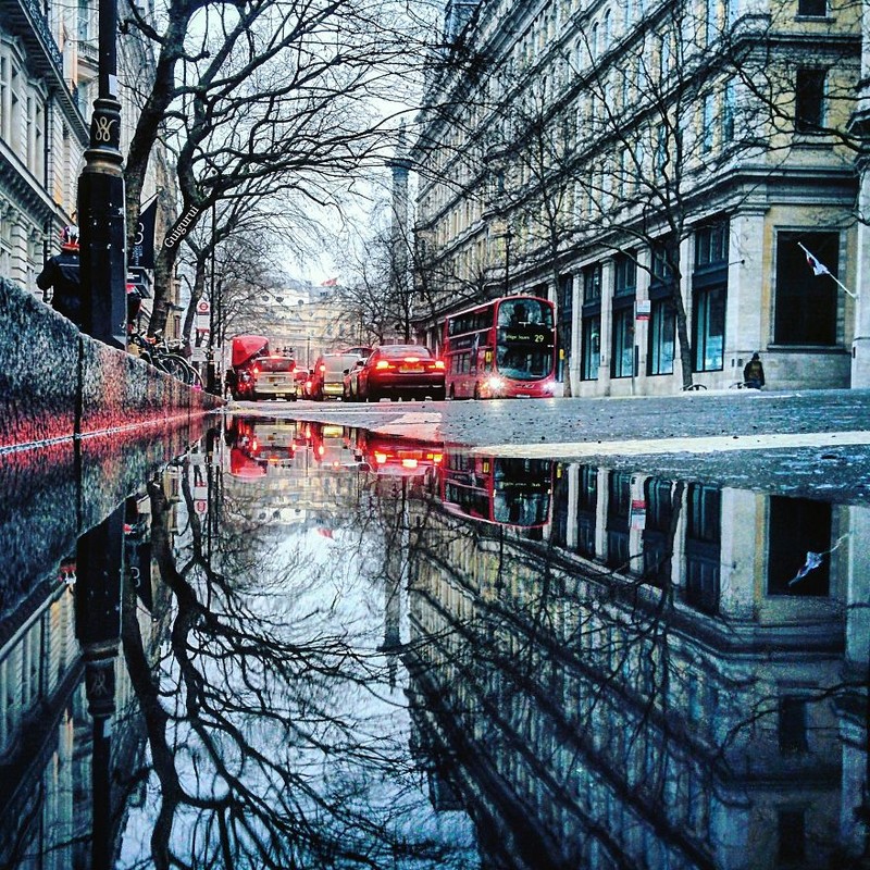 Sững sờ với những tấm ảnh chụp... vũng nước ảnh 14