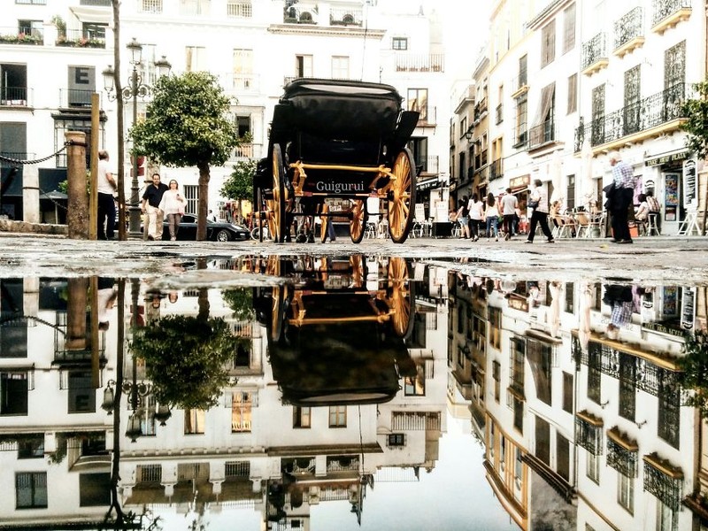 Sững sờ với những tấm ảnh chụp... vũng nước ảnh 21