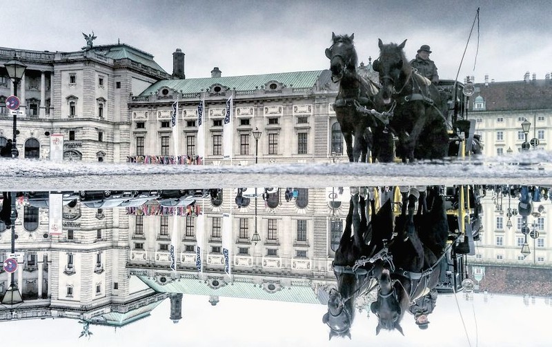 Sững sờ với những tấm ảnh chụp... vũng nước ảnh 9