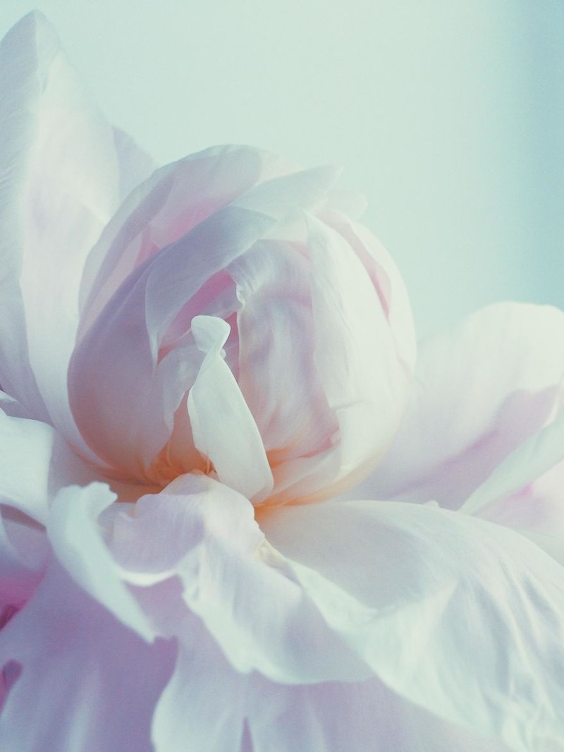 Những tấm ảnh xuất sắc nhất năm 2017 được chụp từ iPhone (Phần 2) ảnh 5