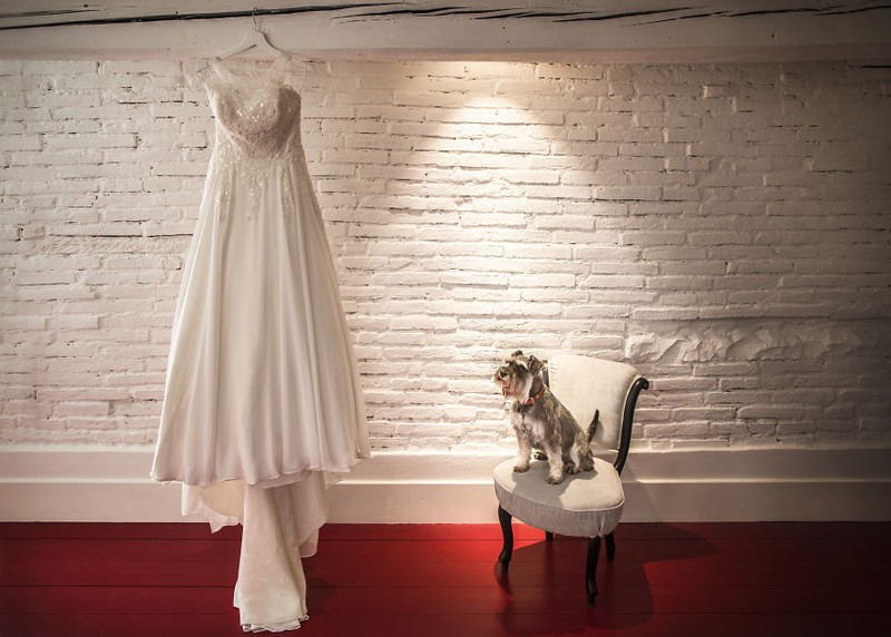 Khi cô dâu và chú rể bị 'cướp' vai chính trong ảnh cưới ảnh 20