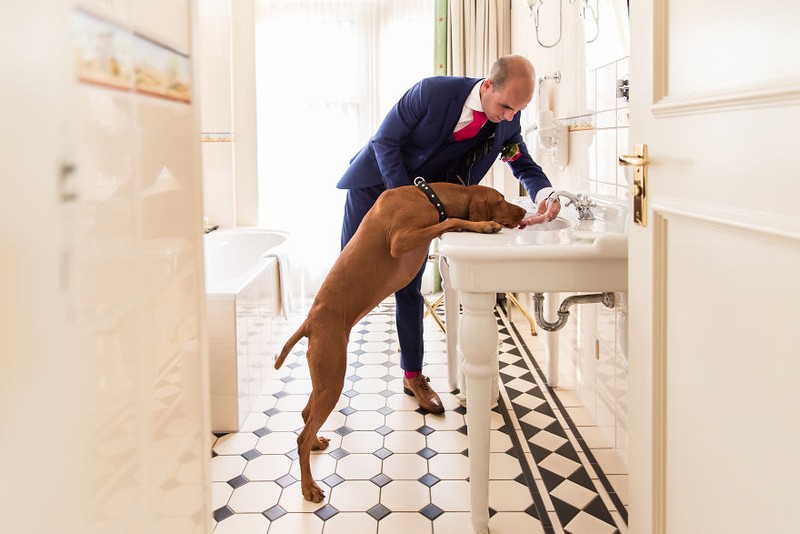 Khi cô dâu và chú rể bị 'cướp' vai chính trong ảnh cưới ảnh 9