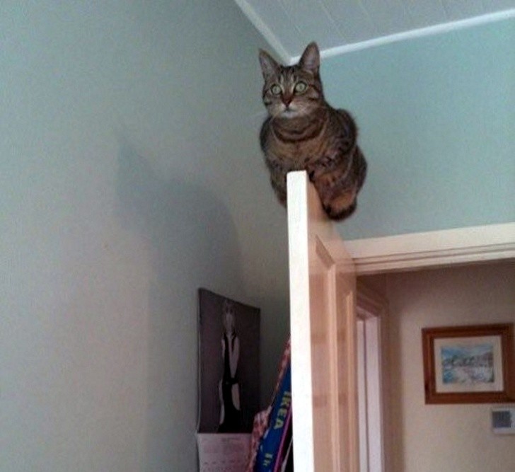 Ảnh: BrightSide Ảnh: BrightSide