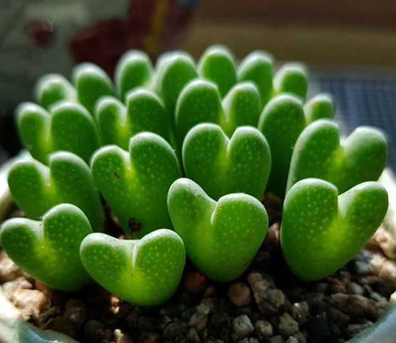 Ảnh: BrightSide Ảnh: BrightSide