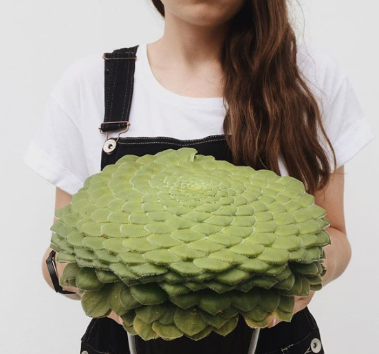 Ảnh: BrightSide Ảnh: BrightSide