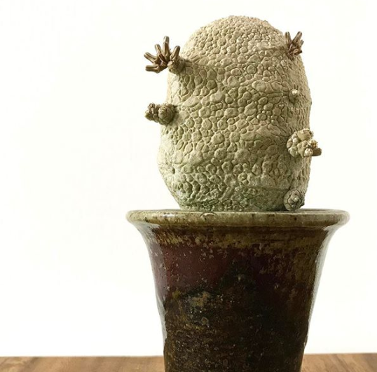 Ảnh: BrightSide Ảnh: BrightSide