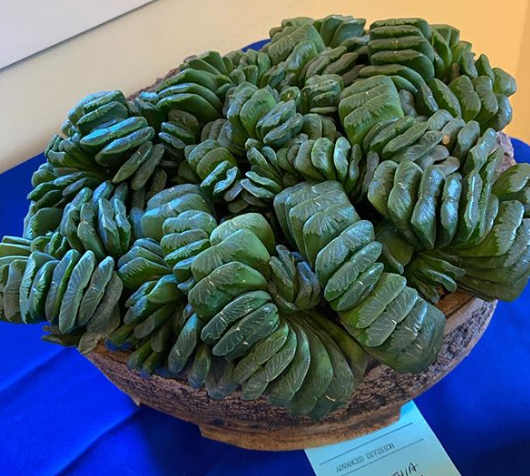 Ảnh: BrightSide Ảnh: BrightSide