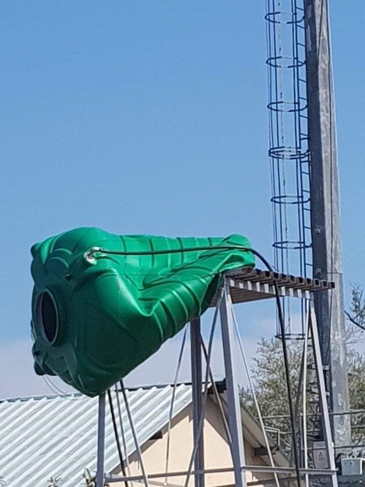 Ảnh: BrightSide Ảnh: BrightSide