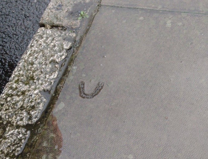 Ảnh: BrightSide Ảnh: BrightSide