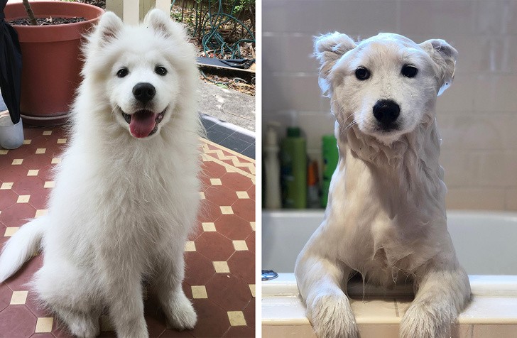 Ảnh: BrightSide Ảnh: BrightSide