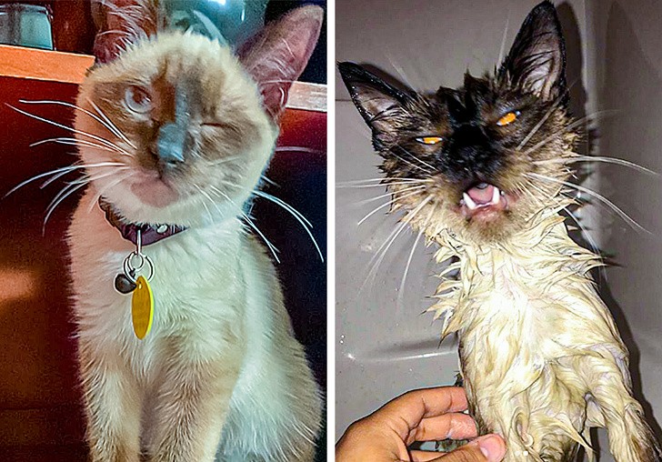 Ảnh: BrightSide Ảnh: BrightSide