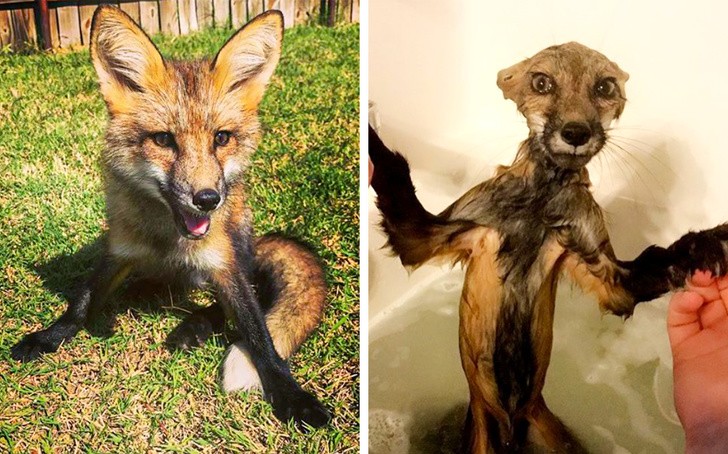 Ảnh: BrightSide Ảnh: BrightSide