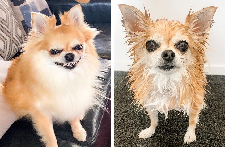 Ảnh: BrightSide Ảnh: BrightSide