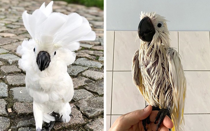 Ảnh: BrightSide Ảnh: BrightSide