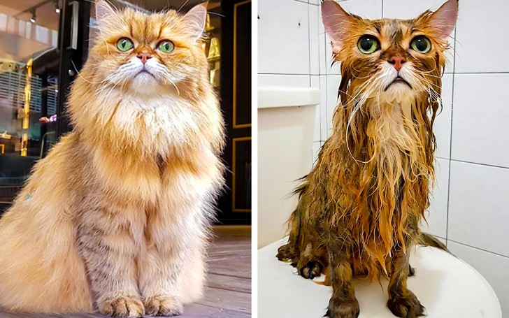 Ảnh: BrightSide Ảnh: BrightSide