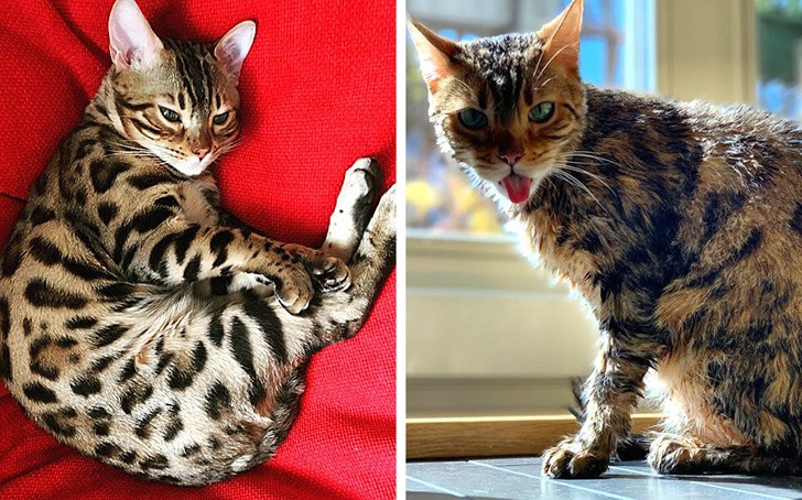 Ảnh: BrightSide Ảnh: BrightSide