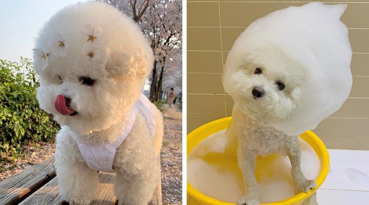 Ảnh: BrightSide Ảnh: BrightSide