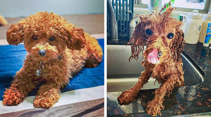 Ảnh: BrightSide Ảnh: BrightSide